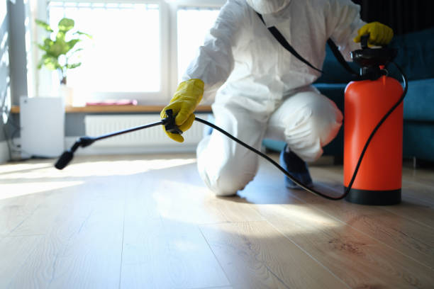Best Best Pest Control Companies  in Little Elm, TX