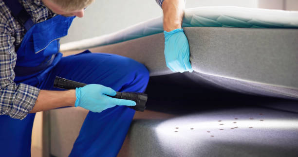 Best Pest Control for Restaurants  in Little Elm, TX