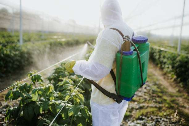 Little Elm, TX Pest Control Company
